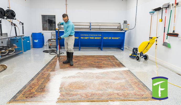 Professional rug cleaning