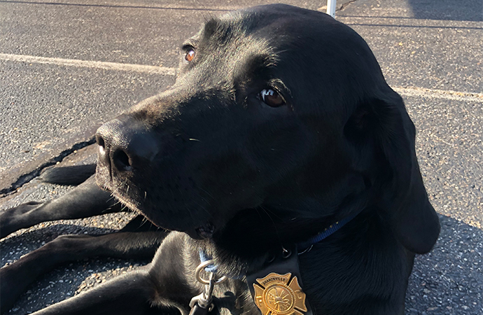 Sharonville Touch a Truck