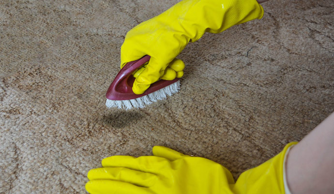 Stain removal service